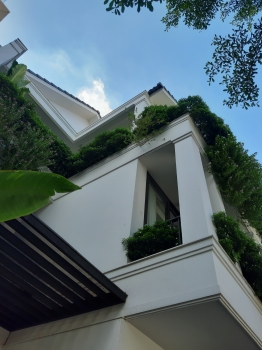 Thi công cảnh quan cây xanh nhà phố - tòa nhà công ty
