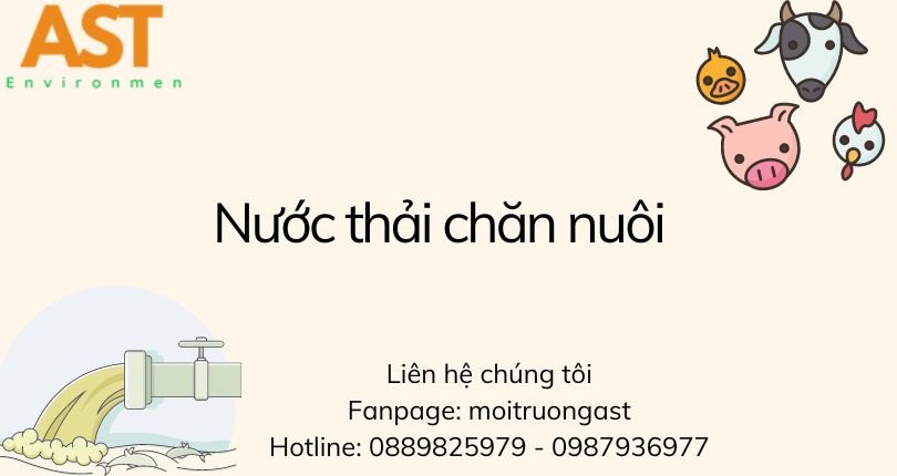 hệ thống xử lý nước thải chăn nuôi