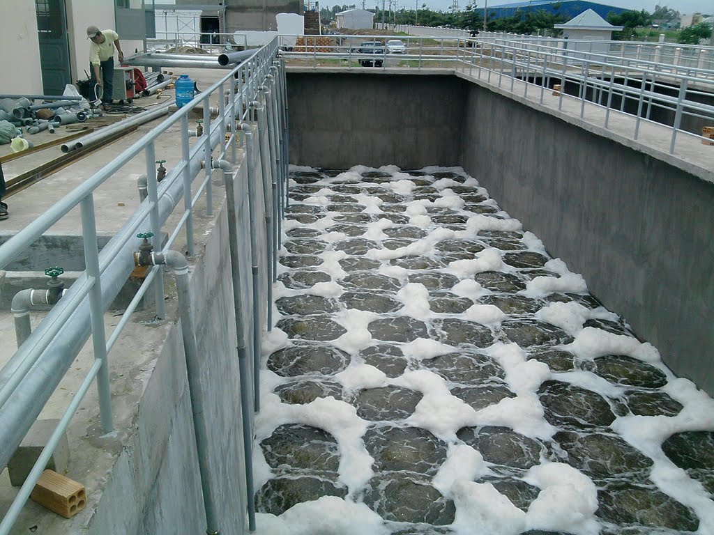 xử lý nước thải chăn nuôi