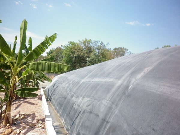 Bạt biogas