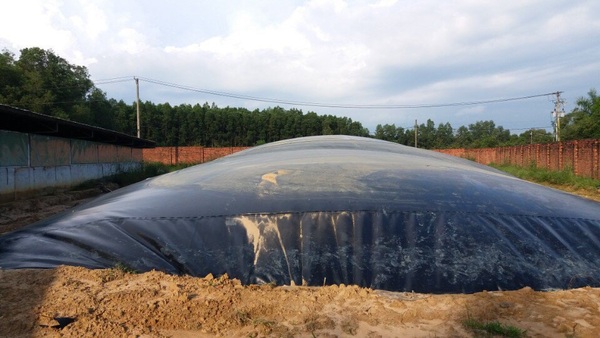 Bạt biogas