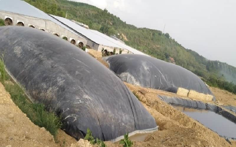 Bạt biogas